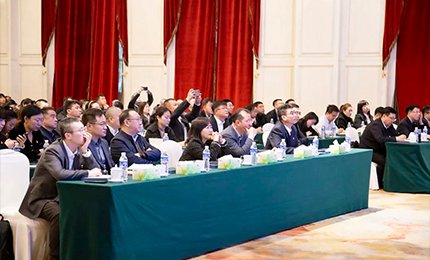 网上澳门皇冠赌场b877集团党委&ldquo;书记带项目&rdquo;工作阶段性进展汇报会成功召开